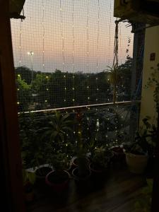 Peaceful & Cozy Stay with Green Balcony & Breakfast