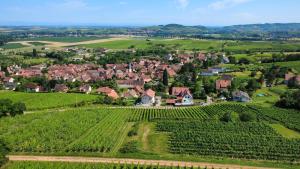 Appartements A L'oree des vignes, superbe logement de 80 m2 : Appartement 2 Chambres