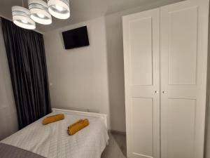 Krynicki Lotos Apartament przy deptaku