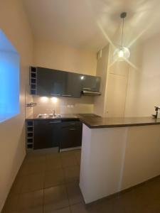 Appartements Le Philibert Roux : photos des chambres