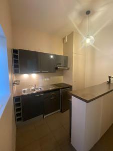 Appartements Le Philibert Roux : photos des chambres