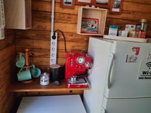 Camping Curtea Pescărușului