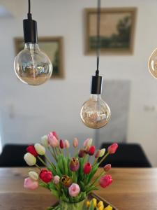 Ferienwohnung Am Säuerlingsturm