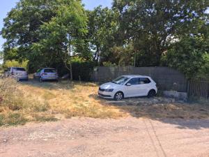 Camping Curtea Pescărușului