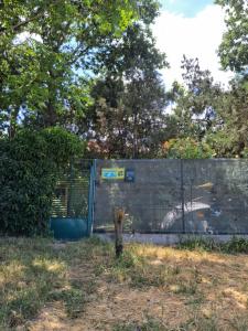 Camping Curtea Pescărușului