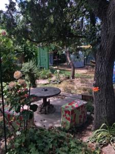 Camping Curtea Pescărușului