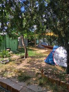 Camping Curtea Pescărușului