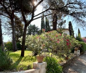 Appartements Detente hors saison, jacuzzi, terrasse et jardin : photos des chambres