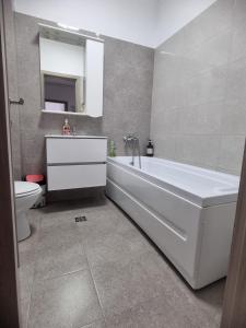 ONE Apartment Militari