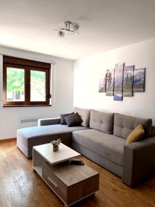 MAGIC23 Apartment with Free SPA Zlatibor