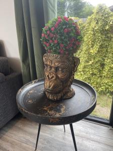 6 Guest 3 BDR - Cozy Chalets VIP - Veluwe ijsvogel