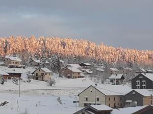 Chalets Les Gites Du Pre Nouveau : photos des chambres