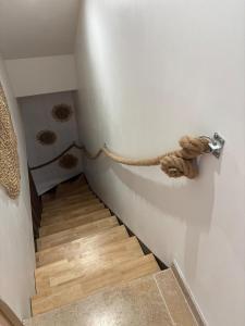 Apartment indépendant