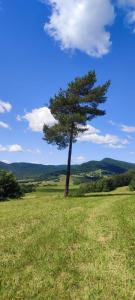 Chutor Grzegorza