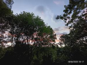 Mariposario La Crysalida