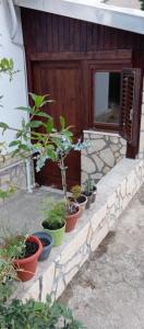 Jamm Mare e Monti Tiny house