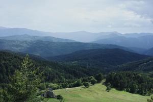 Lodges SUNCHILL luxury treehouse : photos des chambres
