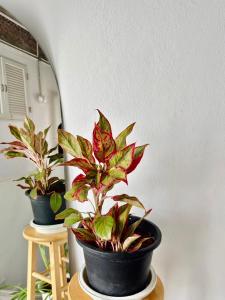 Old Town Heritage Lofts Bangkok