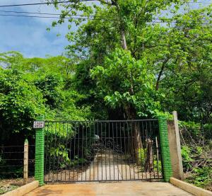 Casa Hoja Eco-Cabina Surf House