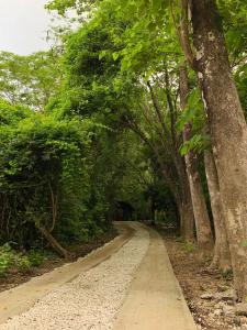 Casa Hoja Eco-Cabina Surf House