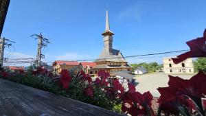 Floare de Colt Sapanta