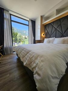 Diamond Resort Busteni