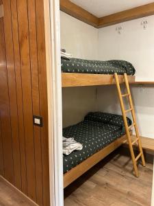 Rododendro Ski-in Ski-out CIR 0491