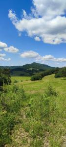 Domek kampingowy letniskowy Zdrój