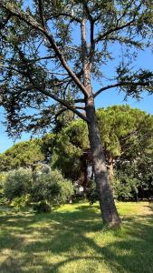 Appartements Detente hors saison, jacuzzi, terrasse et jardin : photos des chambres