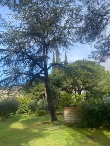 Appartements Detente hors saison, jacuzzi, terrasse et jardin : photos des chambres