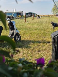 Mar a Lago Glamping23