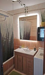 Apartment Edelview