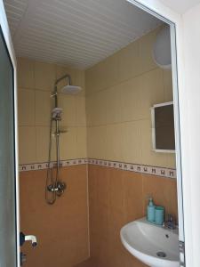 Студиа Осака