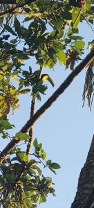 Casita Canto del Bosque Monteverde