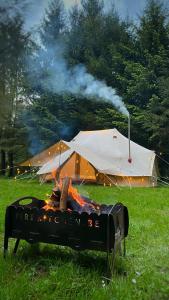 SENSI - glampingtenten midden in de bossen