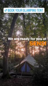 SENSI - glampingtenten midden in de bossen