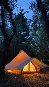 SENSI - glampingtenten midden in de bossen