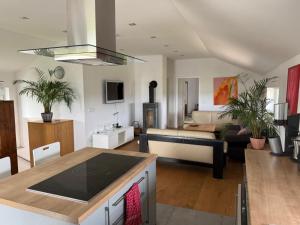 Cosy house with a big garden in the countryside