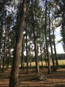 B&B / Chambres d'hotes Poitevins : photos des chambres