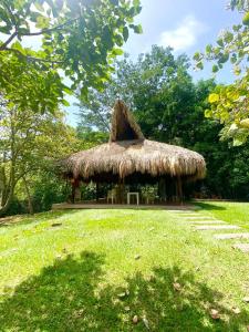 Apartasol San Jeronimo