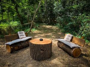 Chalets Insolite Le Coin du Bucheron : photos des chambres