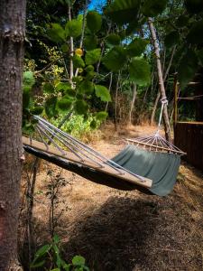 Chalets Insolite Le Coin du Bucheron : photos des chambres