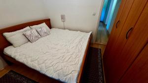Balkan Vibe Apartments