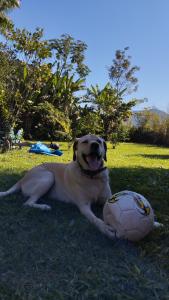 Suite - mata atlântica e praia