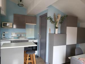 Appartements Joli appartement en centre ville et au calme : photos des chambres
