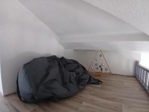Appartements Joli appartement en centre ville et au calme : photos des chambres