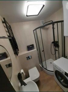 Mikrokawalerka w ścisłym centrum