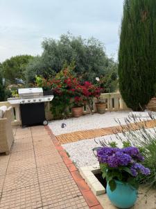 Appartements Magnifique studio entier avec terrasse Saint Jean Cap Ferrat : photos des chambres