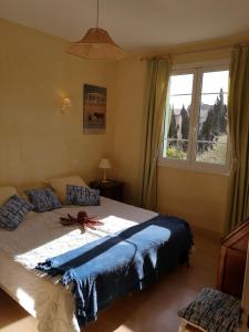 Le cœur de saint Florent