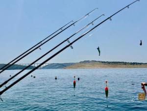 Family Villa Q & more